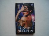 Strainul din oglinda - Sidney Sheldon, Litera