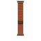 APPLE WATCH 49 TERRA CTTA B TI ALP M-ZML