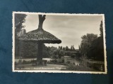carte postala necirculata - Craiova / Parcul Romanescu Ciuperca anul 1939 fotofilm Cluj