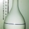 LOT 2 VAZE / VAZA PORTELAN VECHI - HOTEL SARISKA PALACE / DUDSON