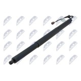 Amortizor portbagaj Audi Q8 2018-, Stanga, Dreapta, AE-AU-097