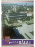 Dorin Iancu (red.) - Judetul Salaj
