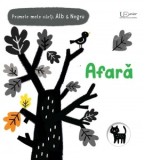Primele mele carti Alb&amp;amp;amp;Negru. Afara (Usborne) - Usborne Books