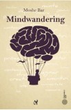 Mindwandering. Mintea hoinara si efectele sale asupra creativitatii si dispozitiei - Moshe Bar