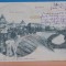 ROM.- BUCURESTI - CHEIUL DAMBOVITEI - 1902, EDITURA AD. MAIER &amp; D. STERN -