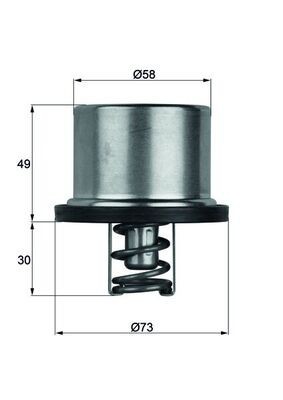 MAHLE THD 1 79 termostat,lichid racire