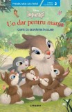 Disney. Iepurasi: Un dar pentru mama. Carte cu despartiri in silabe - Editura Litera