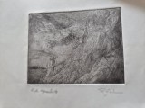 vand grafica