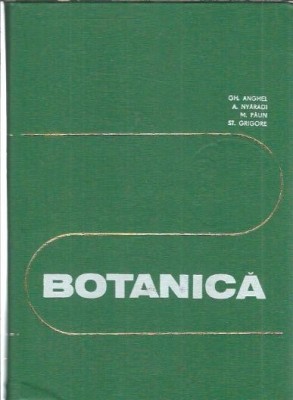 Botanica - Gh. Anghel foto