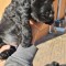 Cocker Spaniel negru