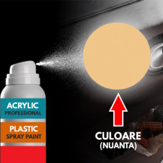 Spray Profesional RAL1001 pentru vopsire elemente din plastic sau metal
