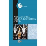 Proza scurta - nuvela, povestirea, schita - Grigore Chiper