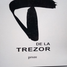 T de la Trezor | Stefan Aug. Doinas