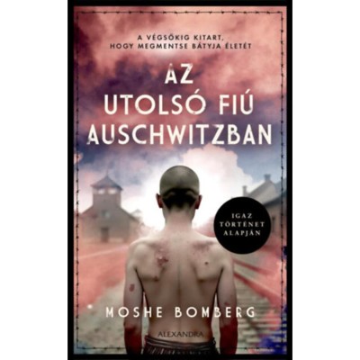 Az utols&amp;oacute; fi&amp;uacute; Auschwitzban - Moshe Bomberg foto
