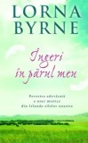 Cumpara ieftin Ingeri in parul meu. Povestea adevarata a unei mistice din Irlanda zilelor noastre/Lorna Byrne