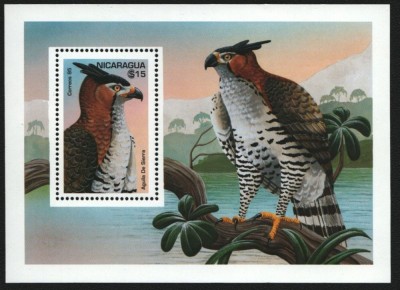 NICARAGUA 1995 FAUNA PASARI DE PRADA foto