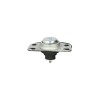 Suport motor Renault KANGOO KC0 1 FORTUNE LINE FZ90023