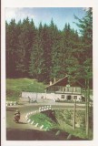 RF146 - Carte Postala - Timisul de Sus. Cabana TImis, circulata 1966