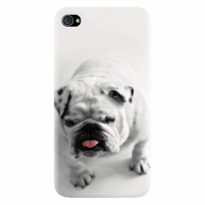 Husa silicon pentru Apple Iphone 4 / 4S, Pretty Doggy foto