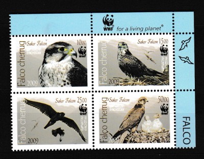 Kyrgzstan - Fauna WWF - PASARI RAPITOARE - MNH foto