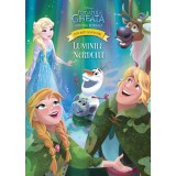 Regatul de gheață. Aurora boreală. Luminile nordului