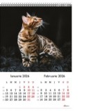 Calendar de Perete A3, Pisici 2026
