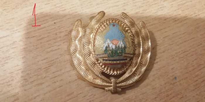 QW14 - Emblema militara / cuc - uscat - comunism - piesa de colectie