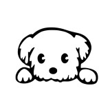 Cumpara ieftin Sticker Auto Catel