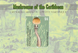 Grenada Carriacou 2011-Flora,Ciuperci,colita dantelata,MNH,Mi.Bl.655, Nestampilat
