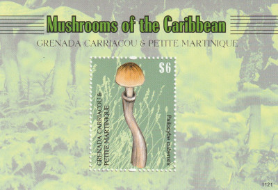 Grenada Carriacou 2011-Flora,Ciuperci,colita dantelata,MNH,Mi.Bl.655 foto