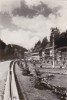 MRC - CARTI POSTALE SLANIC MOLDOVA NR 5