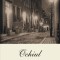 Ochiul Ed 2019, Vladimir Nabokov - Editura Polirom