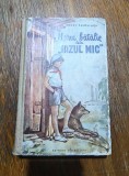 Marea batalie de la Iazul Mic - Octav Pancu Iasi / R8P3S