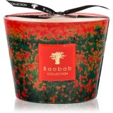 Baobab Collection Arty Flowers Poppies lum&acirc;nare parfumată 500 g