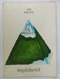 PIRAMIDA IMPADURITA de ION MIRCEA, 1989
