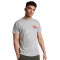 FC Liverpool tricou de bărbați Anfiled Map grey - M