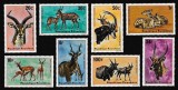 RUANDA 1975-FAUNA-ANIMALE AFRICANE-SERIE COMPLETA DE 8 TIMBREMNH