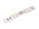 Bandă LED Alb Rece 12V IP65