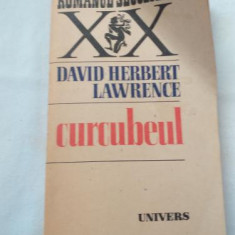 David Herbert Lawrence - Curcubeul