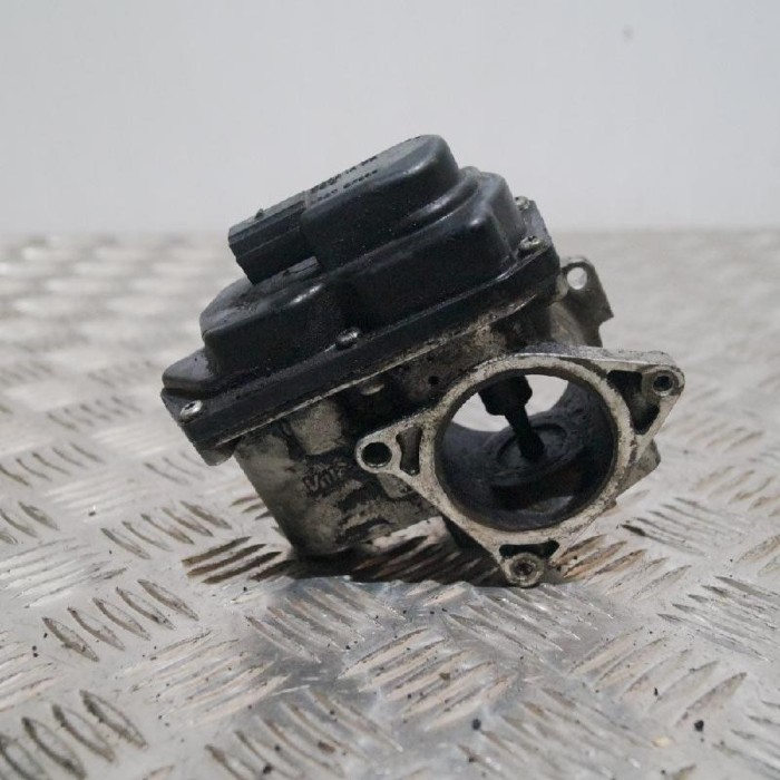 Supapa EGR VW PASSAT B6 3C2 2009 OEM: 03L131501E16480730 | 1732701