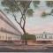bnk cp Egipt - Cairo - carte postala necirculata - cca 1910