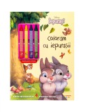 Cumpara ieftin Disney Iepurasi. Coloram cu iepurasii (contine 4 creioane cerate)