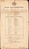 HST A1838 Certificat școlar 1904 Caransebeș