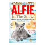 Alfie in the Snow (Alfie Series, Book 5)