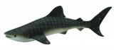 Balena rechin - Animal figurina, Collecta