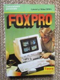 FOX PRO - Gabriel si Mihai Dima, Teora