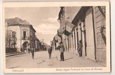 SV * Petroseni * STRADA REGELE FERDINAND Cu CASA DE PASTRARE * 1917 / 1918 foto