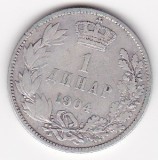 Moneda Argint Serbia 1 Dinar 1904 - Argint, Colecție Numismatică
