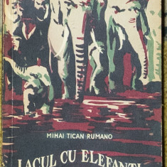 Mihai Tican Rumano - Lacul cu elefanti