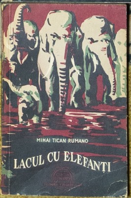 Mihai Tican Rumano - Lacul cu elefanti foto